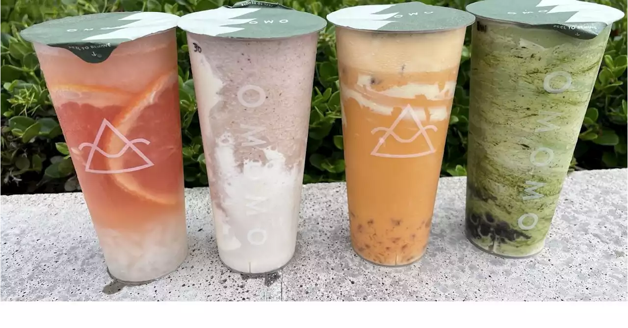 Is This the Best Boba Tea in San Diego?