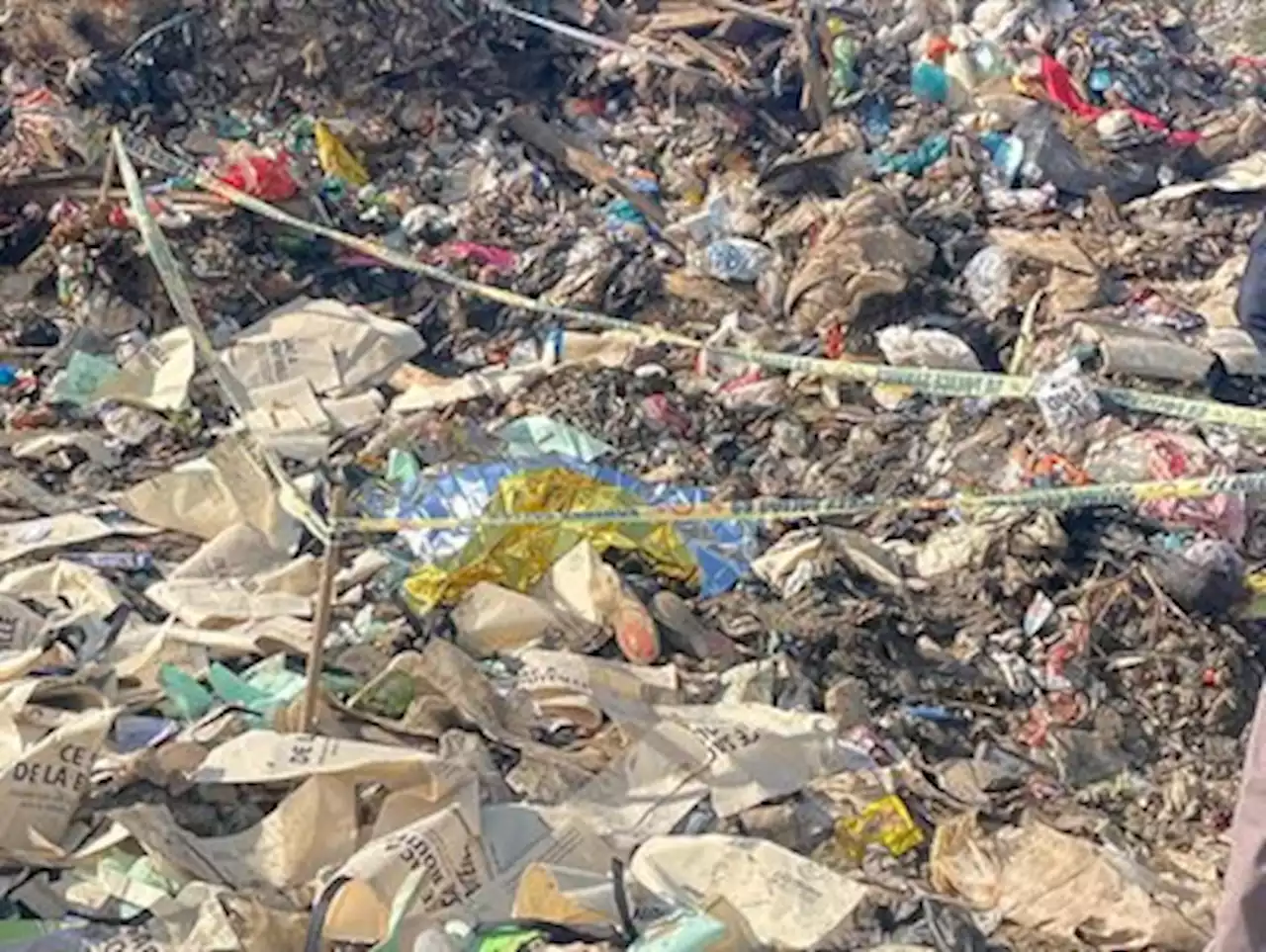 IFP: Dumping of expired food leading to bloodshed at KZN landfills