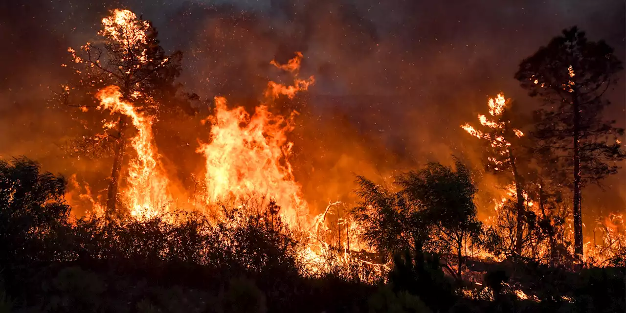 Algérie : beaucoup de dégâts et au moins 34 morts dans de violents incendies