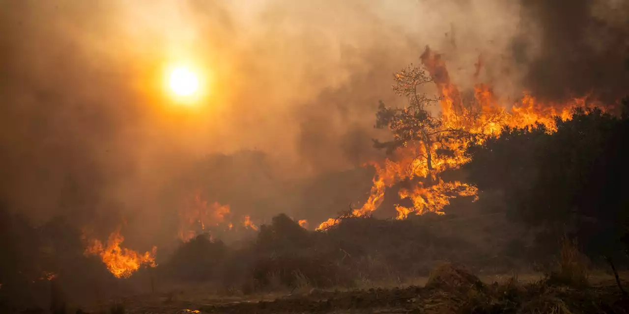 Incendies en Grèce : à Rhodes, les écoles accueillent des centaines de touristes évacués en urgence