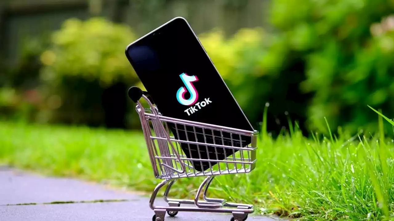 TikTok to Sell Cheap Junk in Competition With Shein and Temu