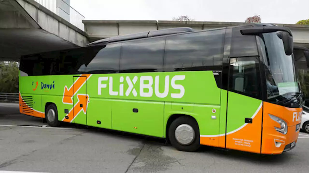 Fernbus und Bahn: Mobilitätskonzern Flix treibt Vorbereitungen für Börsengang voran