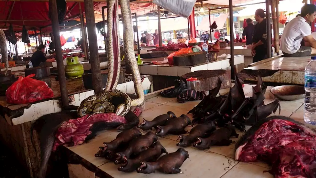 Penjualan Daging Anjing dan Kucing Diawasi Ketat, Pedagang Tomohon Kecewa