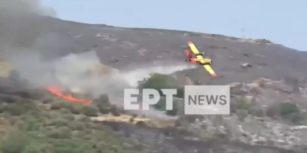 Due piloti sono morti dopo che un aereo antincendio si è schiantato in Grecia - Il Post