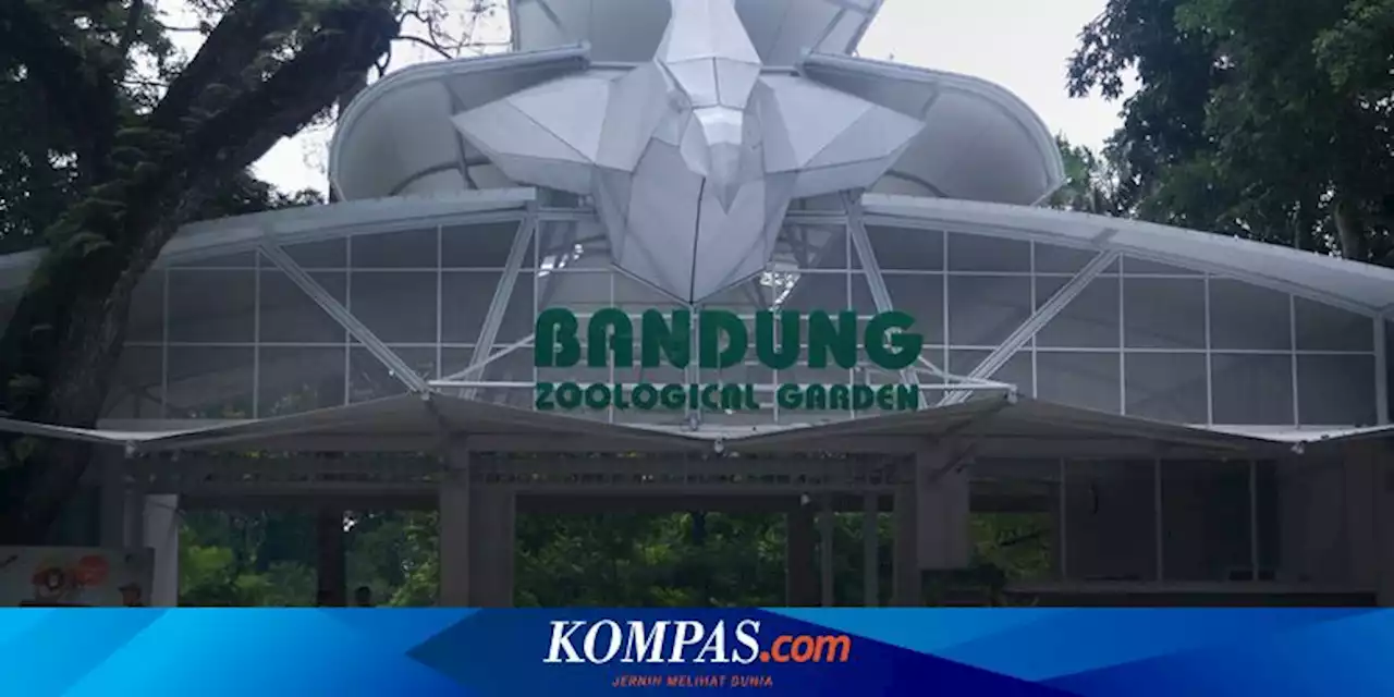 Kebun Binatang Bandung Tetap Beroperasi Meski Memasuki Proses Penyegelan