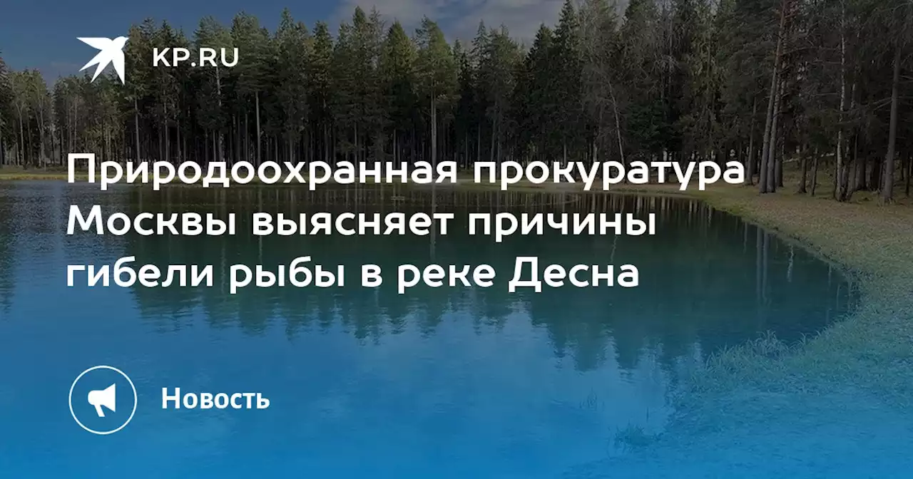 Природоохранная прокуратура Москвы выясняет причины гибели рыбы в реке Десна