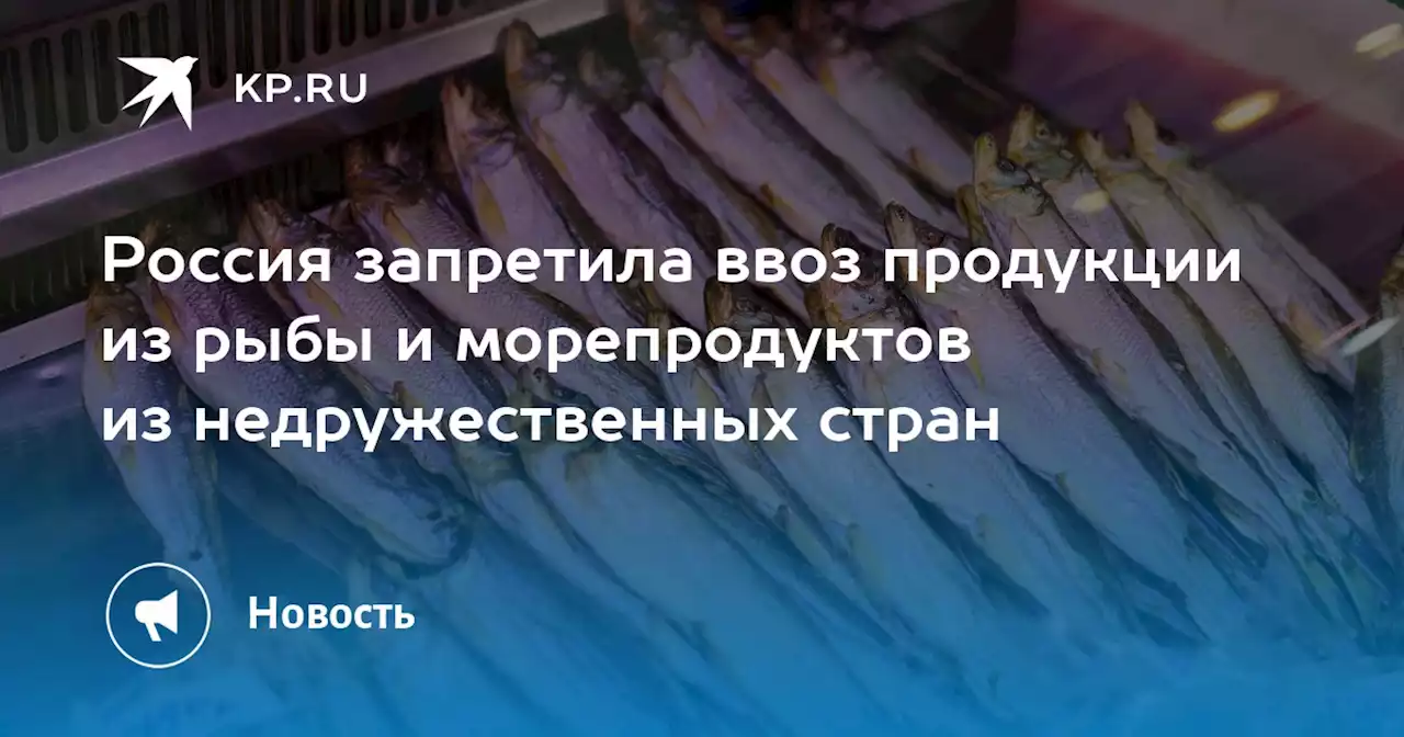 Россия запретила ввоз продукции из рыбы и морепродуктов из недружественных стран