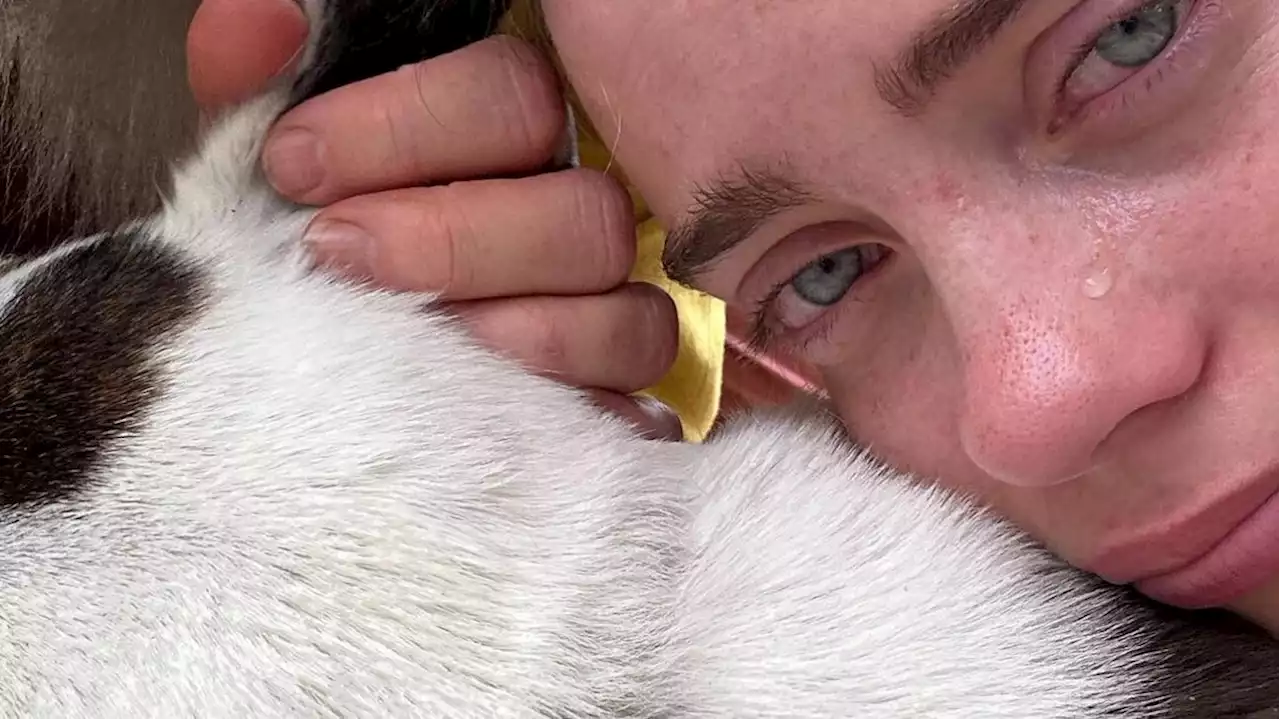 Billie Eilish trauert um tierische beste Freundin