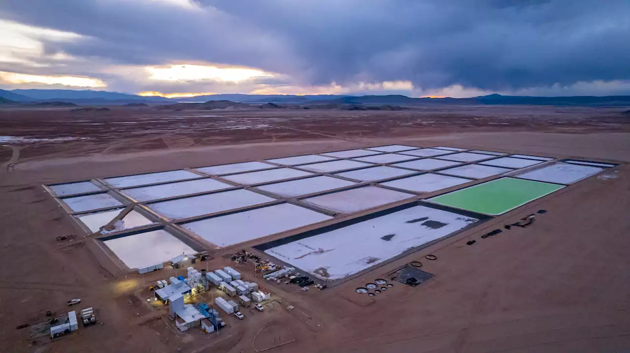 “Oro blanco”: la millonaria inversión de una empresa australiana en Catamarca