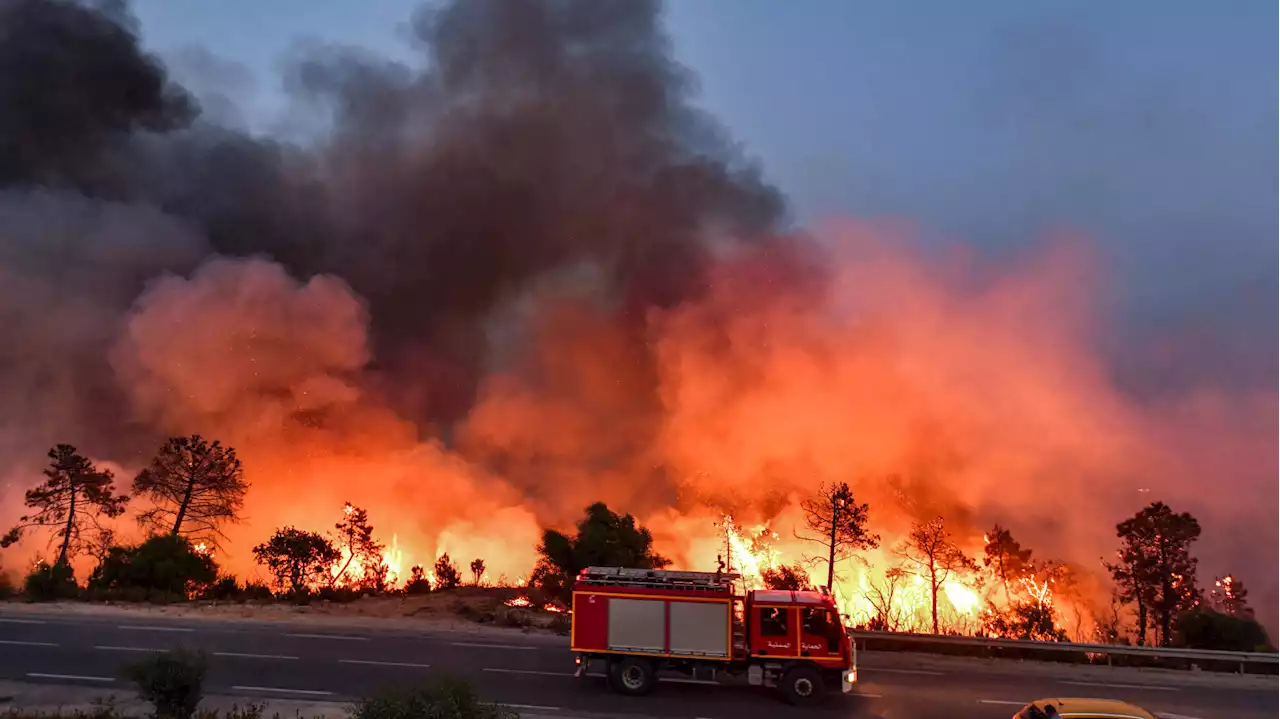 Au moins 34 morts dans les violents incendies en Algérie