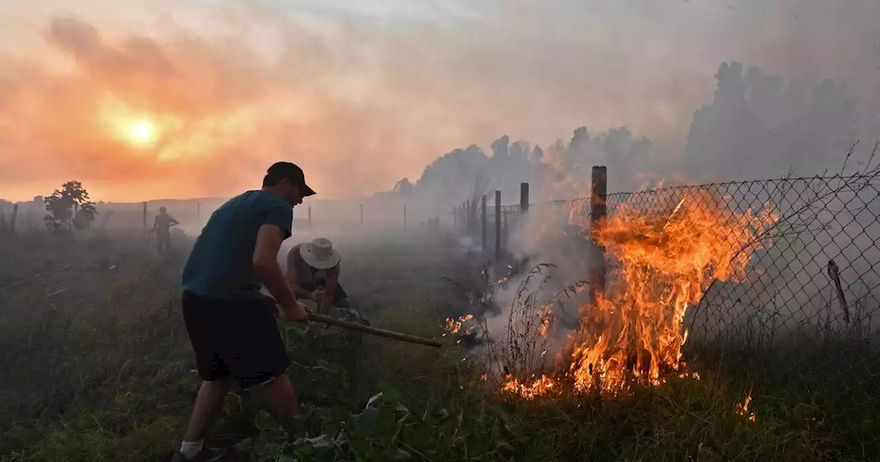 Incendies meurtriers, canicule 'sans précédent'… L’Algérie et la Tunisie suffoquent