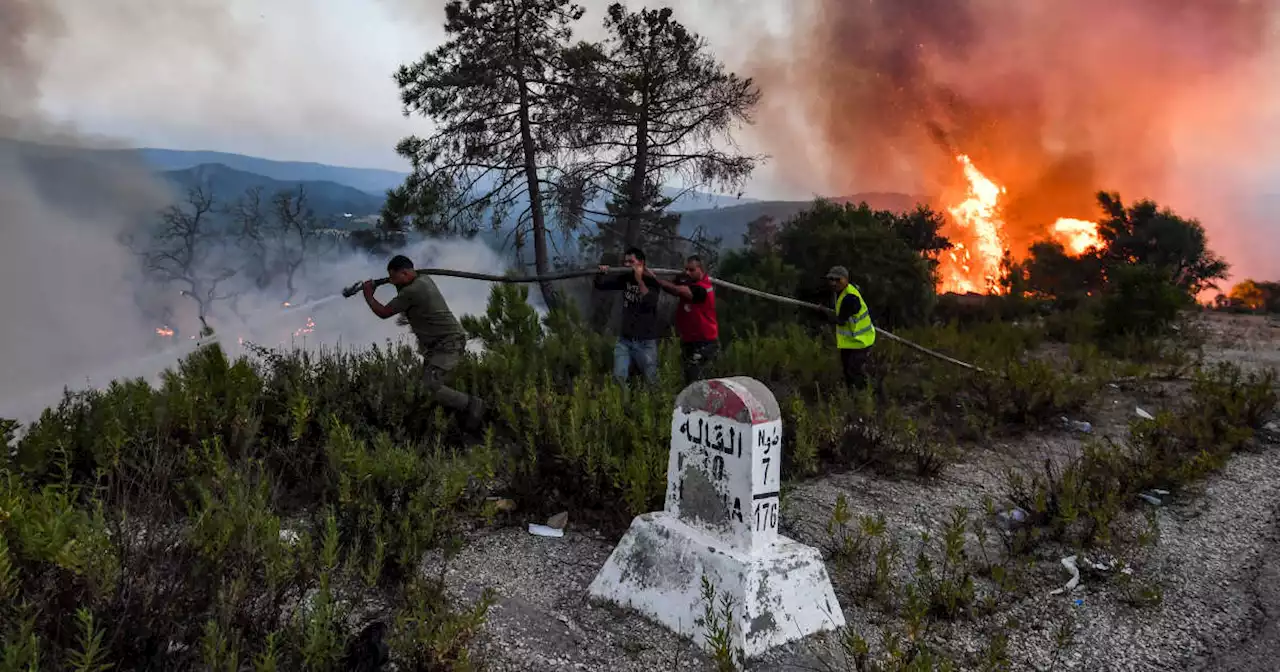 Algérie : beaucoup de dégâts et au moins 34 morts dans de violents incendies