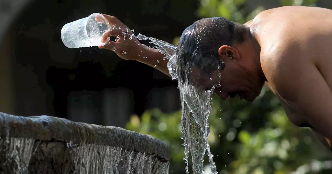 Les canicules qui ont touché l’hémisphère Nord auraient été « pratiquement impossibles » sans le changement climatique