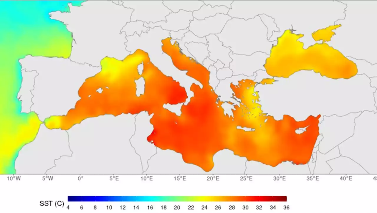 Triste record : 28.7° C relevés en Méditerranée ce lundi, les températures enregistrées en 2003 dépassées