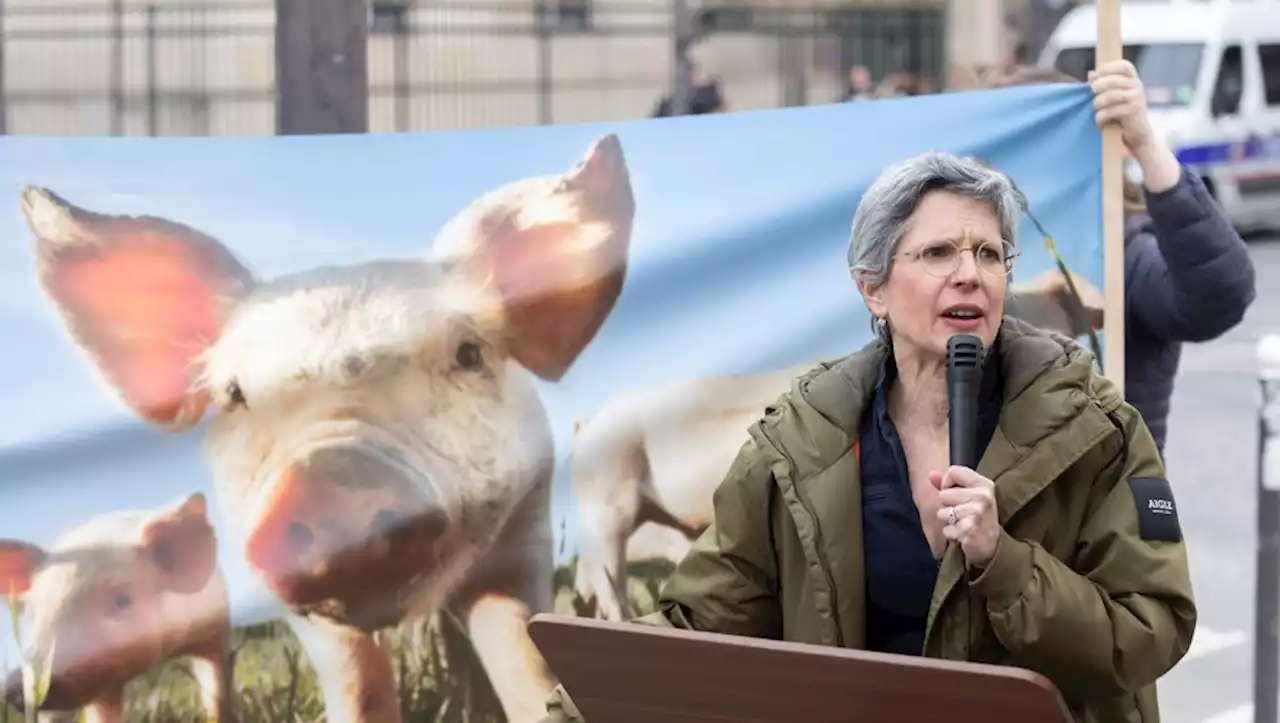 'Une des causes de ce qui se passe partout' : Sandrine Rousseau créé la polémique en associant incendies et viande