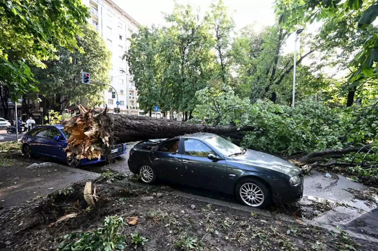 Storm brings down trees in Milan as fire closes Sicily airport | The Malaysian Insight