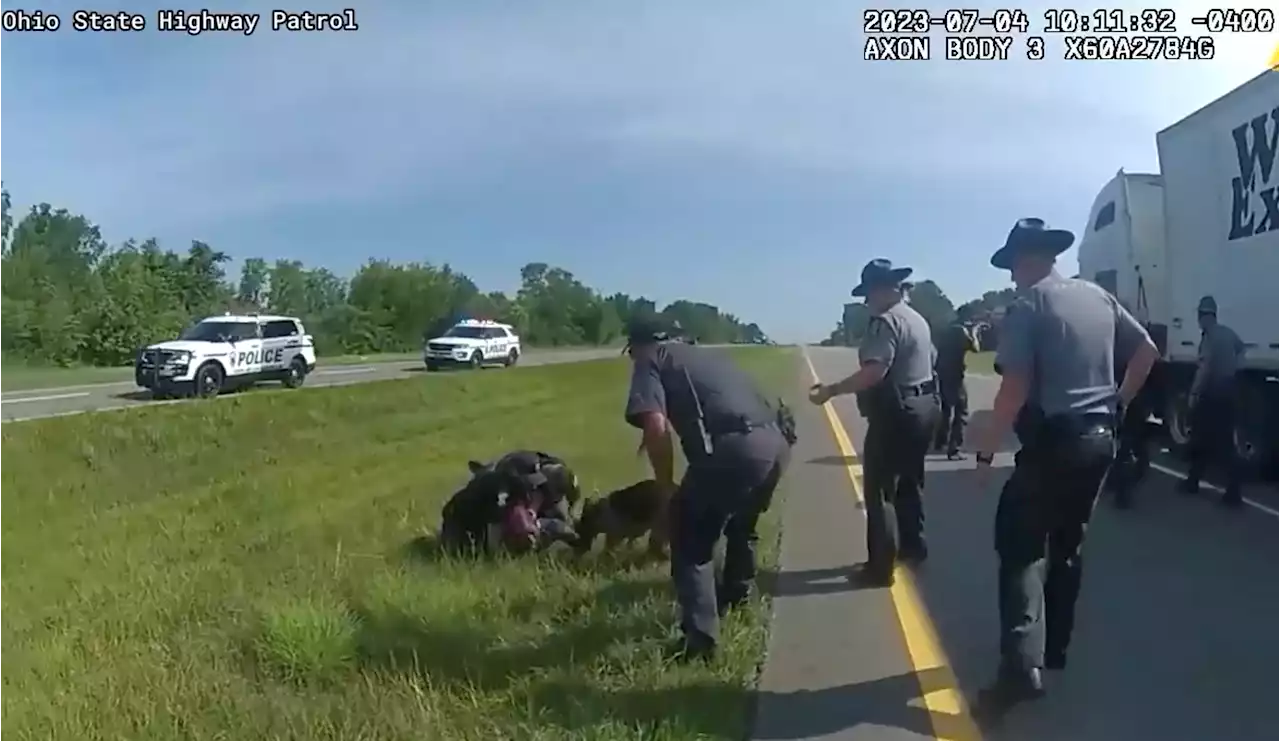 Authorities probing why Ohio police dog was deployed on truck driver who was surrendering