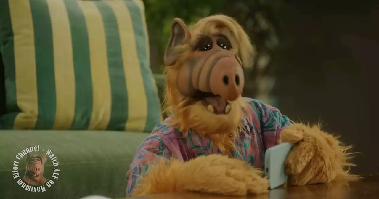 ALF to Be a Company Man for Ryan Reynolds