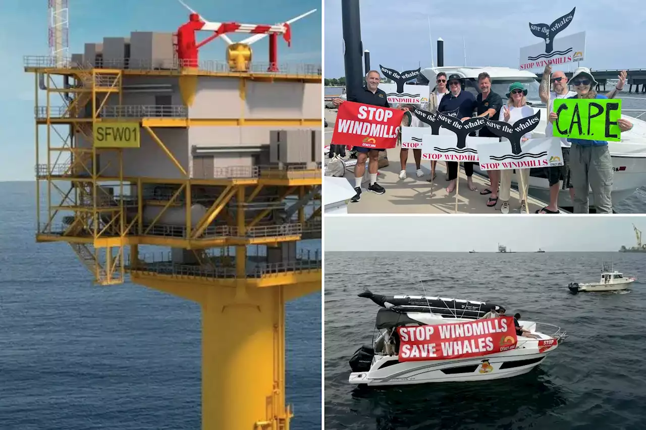 Fishermen, activists protest offshore wind farms near Montauk, cite recent whale deaths