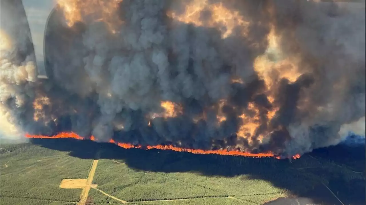 Opinion: B.C. had 20 years to act and now everything is on fire