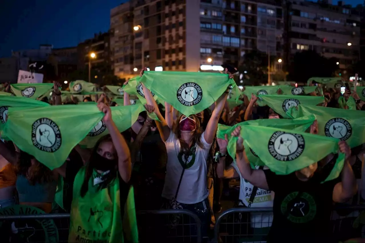 ¿Por qué PACMA tuvo más votos que BNG o UPN pero no entró en el Congreso?