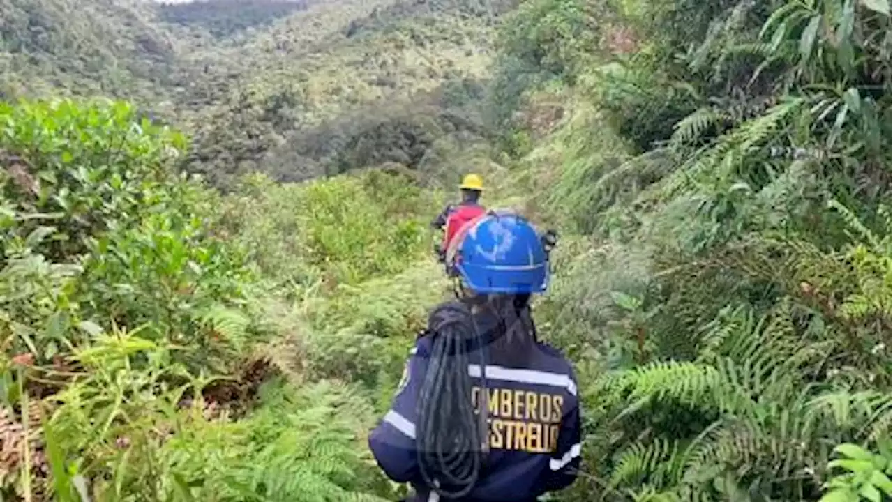 Rescataron a 5 mujeres que se habían extraviado en zona boscosa; tenían golpe de calor - Pulzo