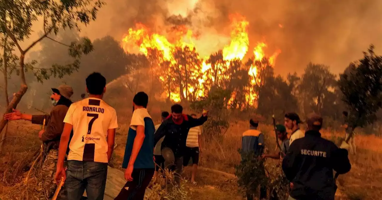 In fiamme anche il Nord Africa: 34 morti in Algeria, 300 evacuati via mare in Tunisia