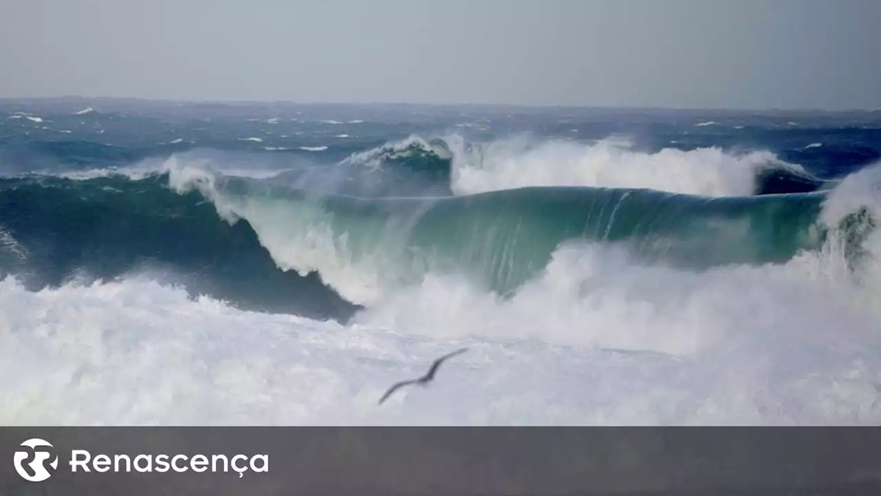 Alterações climáticas podem provocar o colapso das correntes do Oceano Atlântico - Renascença