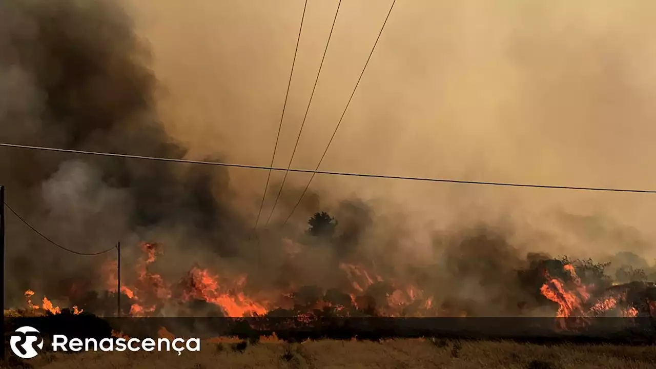 'Estamos em guerra'. Grécia continua a combater fogos - Renascença