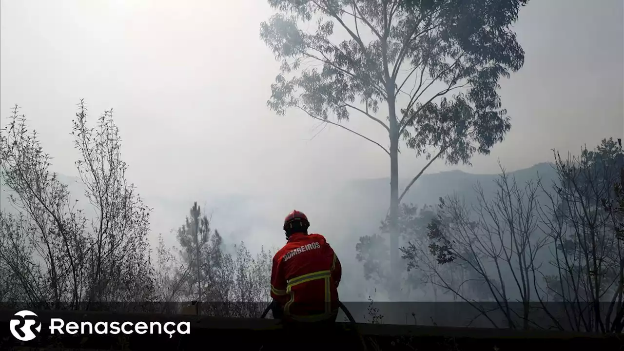 Mais de 200 bombeiros e 8 meios aéreos combatem incêndio em Cascais - Renascença