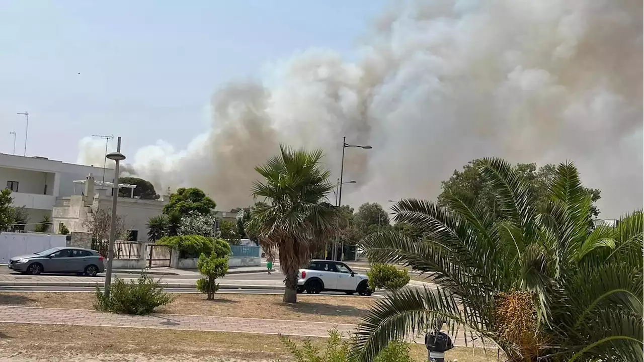 Lecce, brucia la marina di San Cataldo. Il Comune fa evacuare residenti e turisti: “Chiudete le case e andate via”