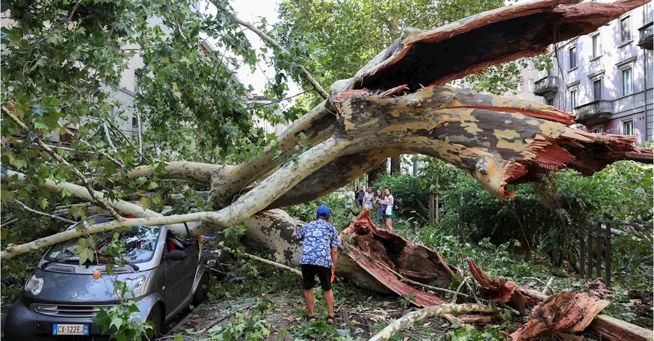 Storms kill two in northern Italy, Palermo airport reopens after fire