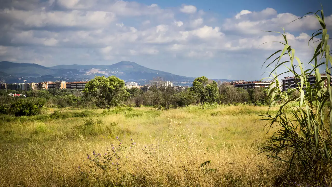 Trasformare il “pratone” in un parco: in pressing su Gualtieri anche pezzi della maggioranza