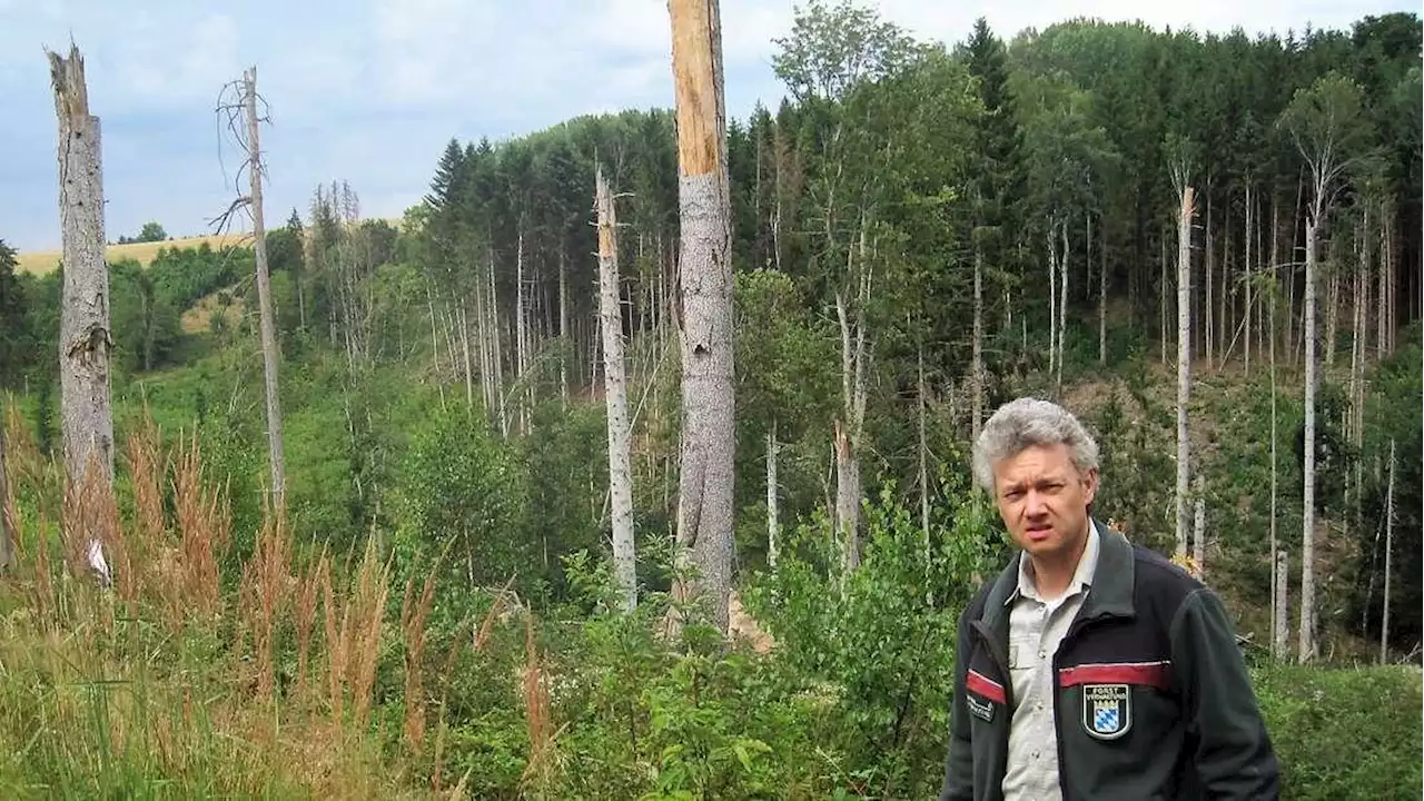 Der Borkenkäfer wird zur Plage: Wolfgang Madl vom Amt für Ernährung, Landwirtschaft und Forsten Traunstein übe