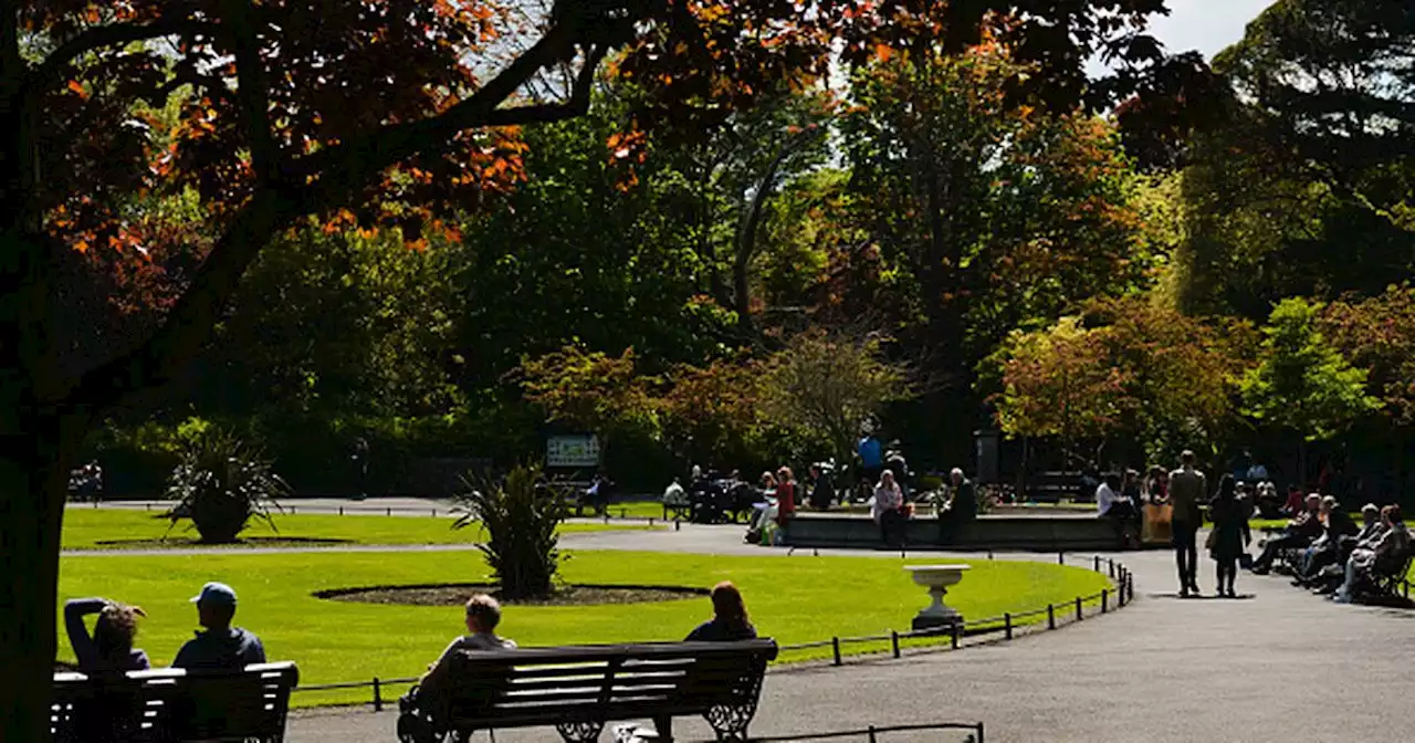 Met Eireann issue update to hay fever sufferers amid change in weather