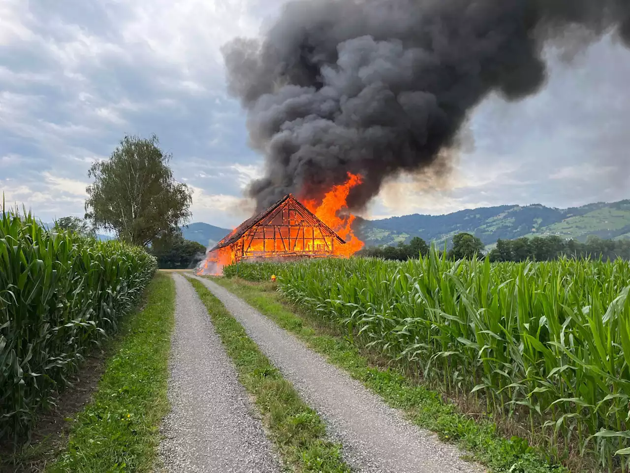 Stall komplett niedergebrannt