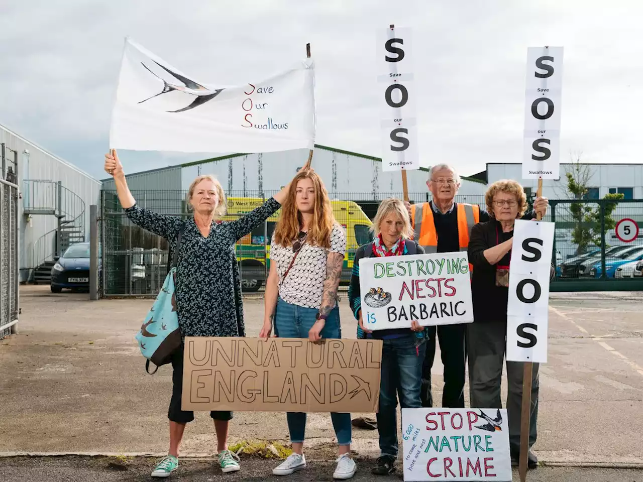 Protesters' relief as plans to move swallows from Shrewsbury ambulance hub are halted