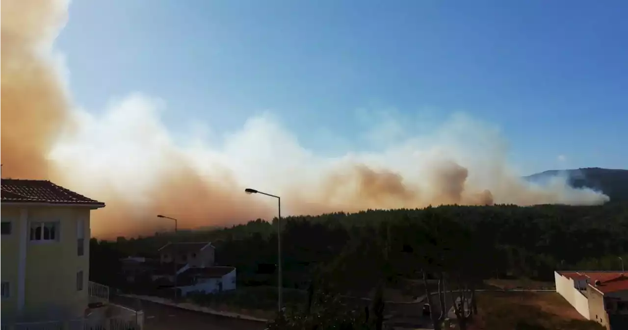 Incêndio em Alcabideche: casas e A5 em risco