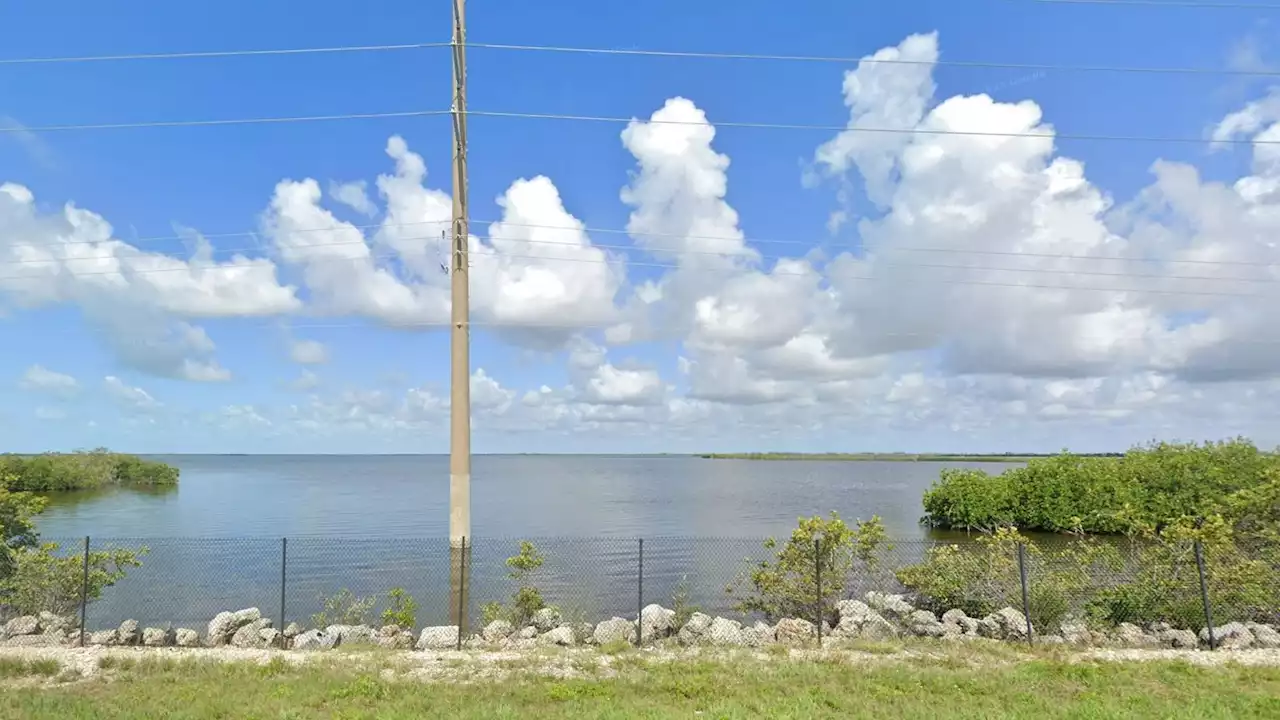 Sea temperature off Florida reaches 38C - potentially a world record