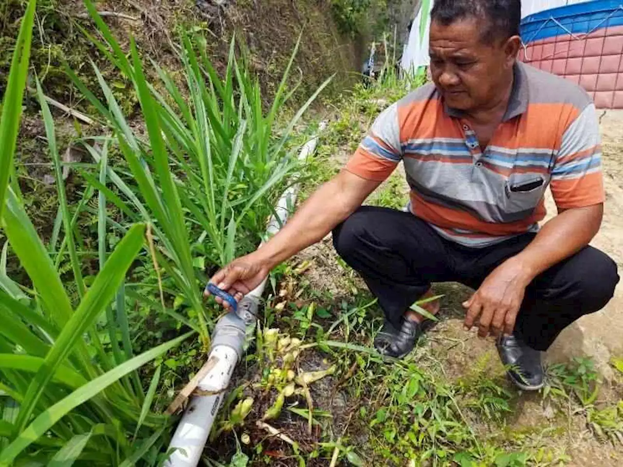 Canangkan Sentra Durian di Lahan Kering, Kades Sukorejo Sragen Sempat Dicibir