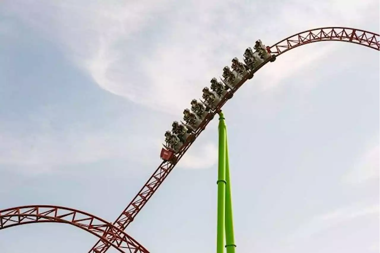 QuickCheck: Do roller coaster rides help with kidney stones?