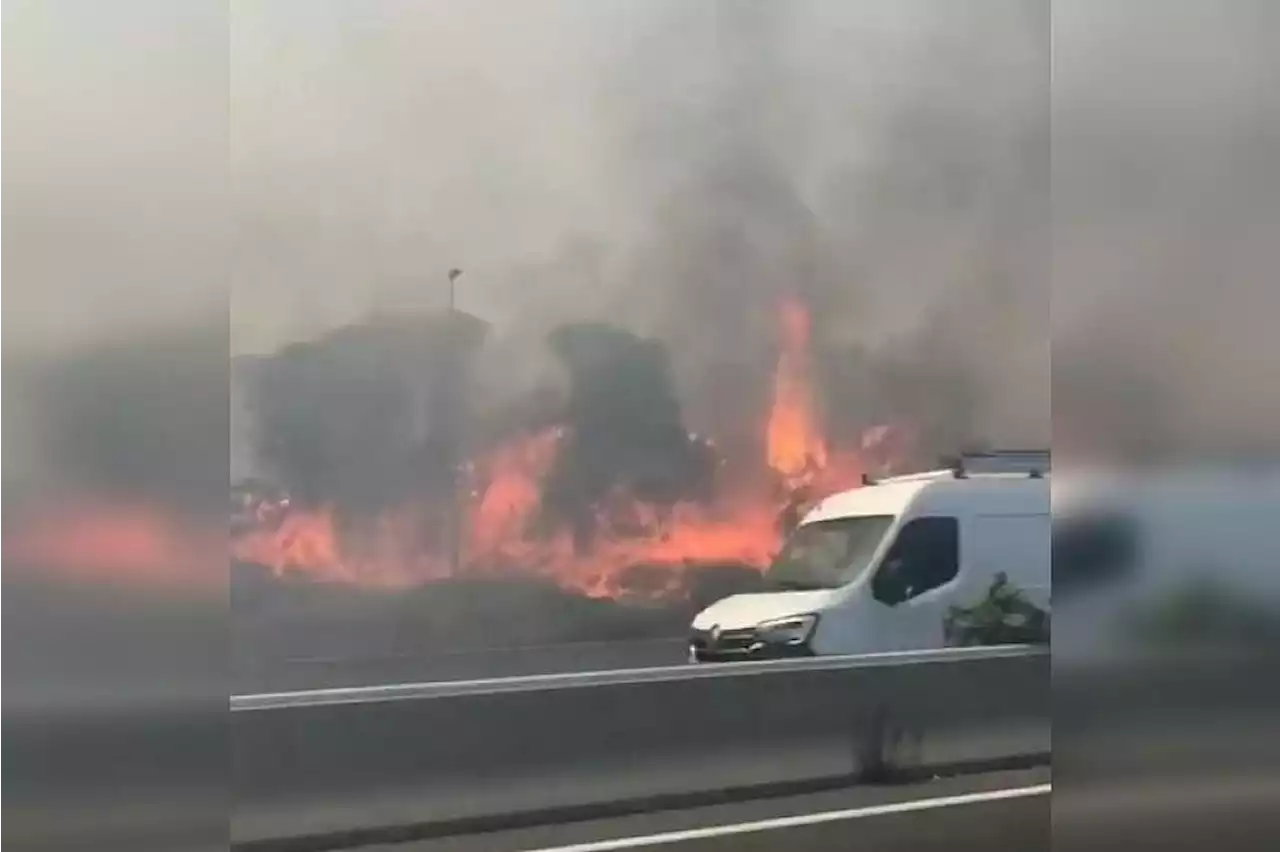 French firefighters battle wildfire close to Nice airport