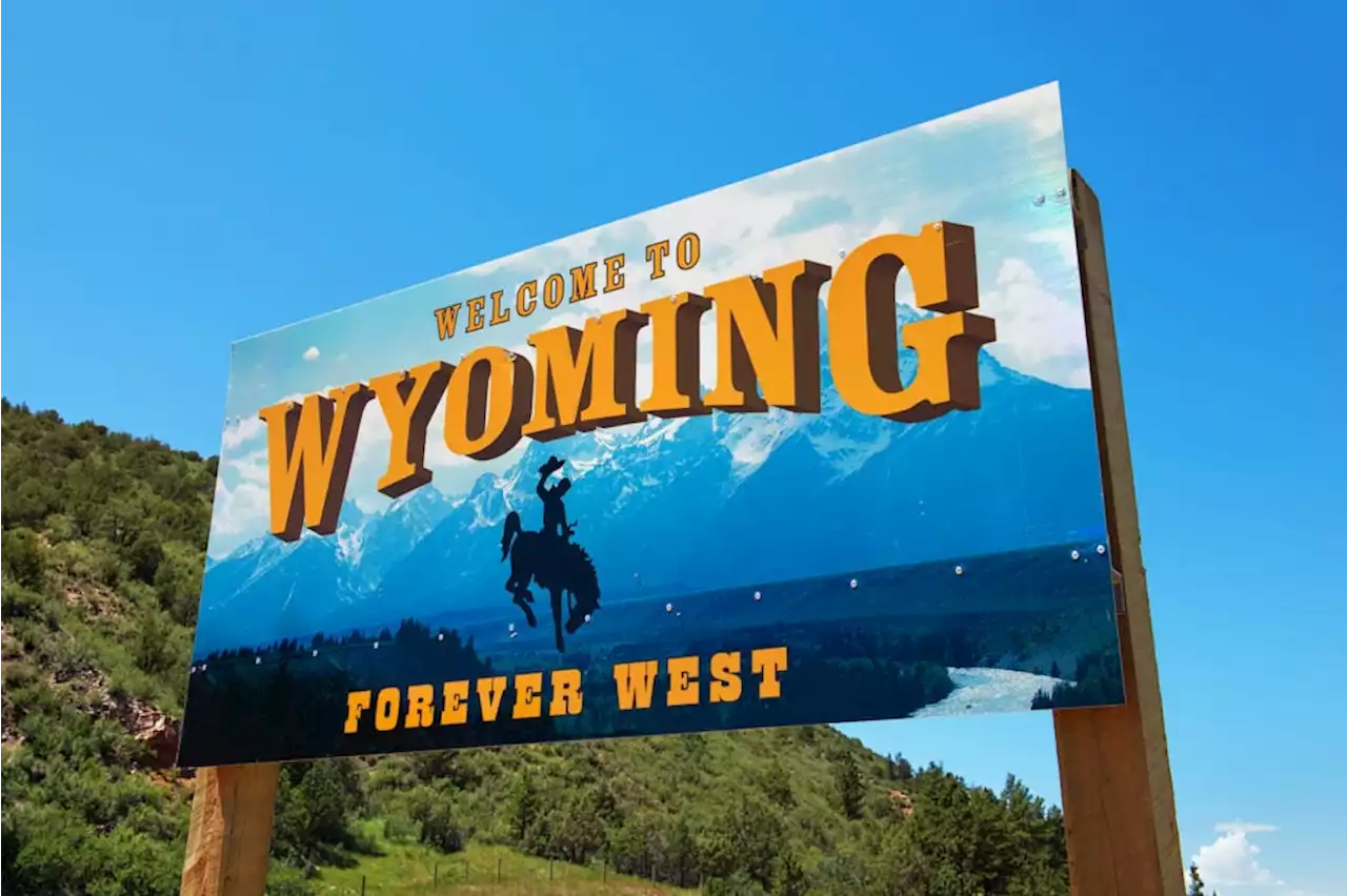 Wyoming looks for director to lead 'stable token' effort