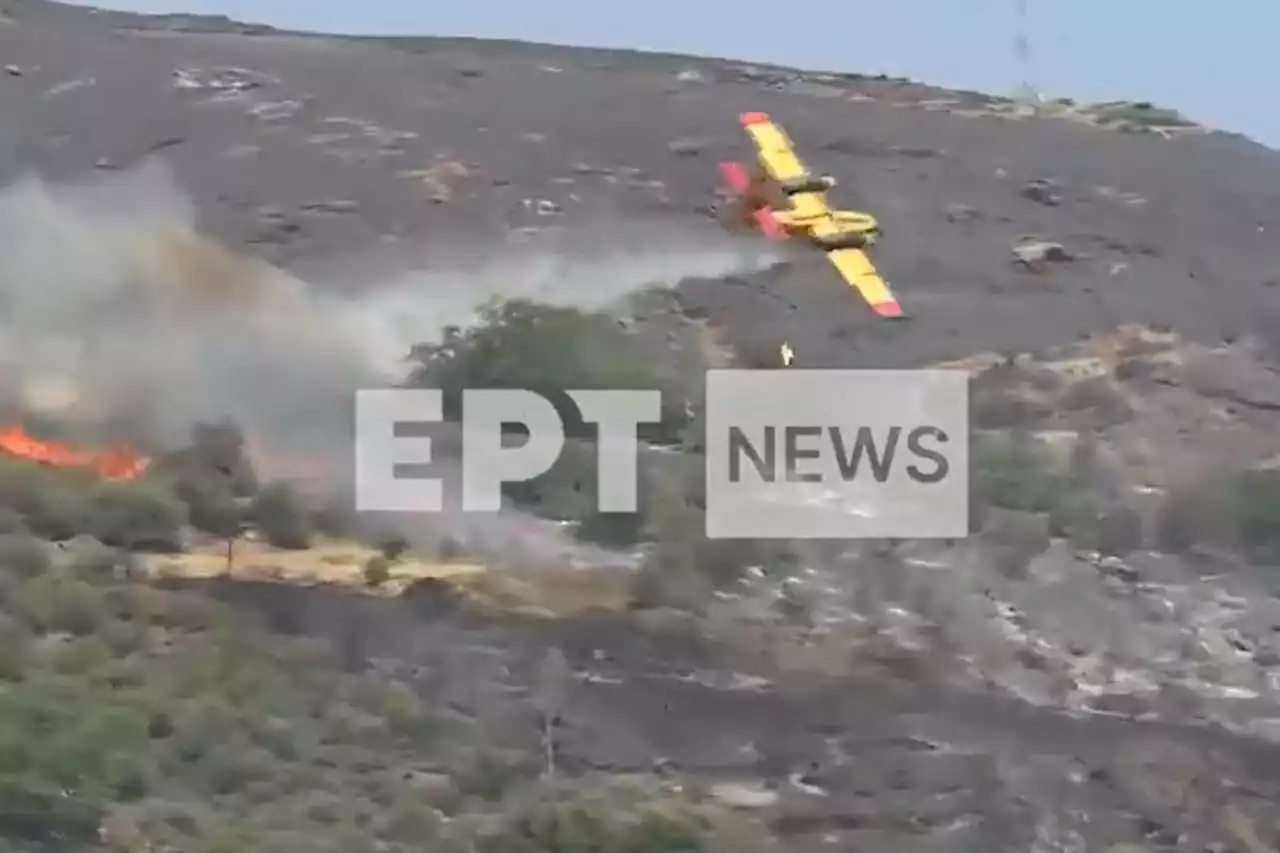 Firefighter plane crashes to ground while battling wildfires on Greek island