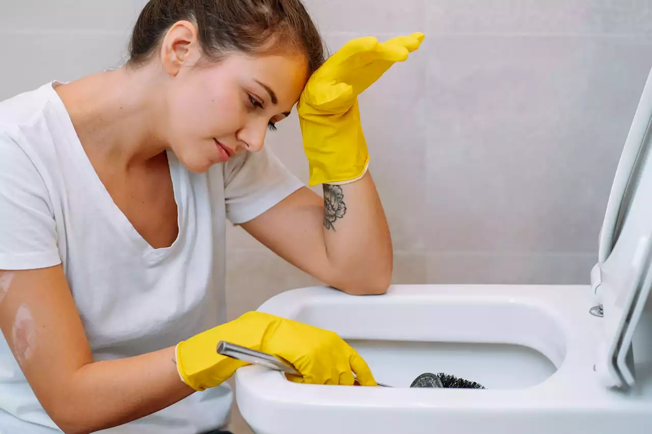 The £2 trick to clean a grim loo according to Mrs Hinch fans