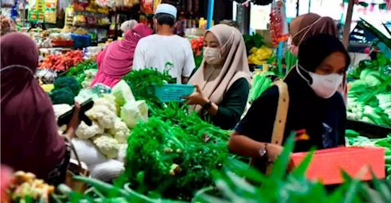 PLS plantations, Guangzhou Jiangnan collaborate towards govt’s food security initiative