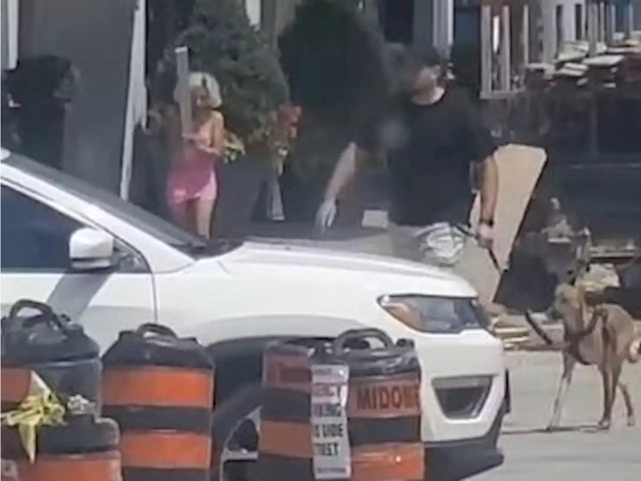 Woman dressed like Barbie attacks man, dog with 2x4