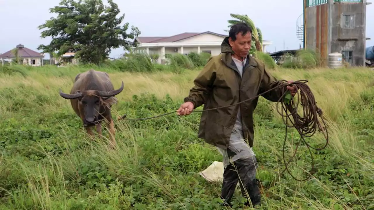 Evacuations underway in Philippines ahead of super typhoon Doksuri