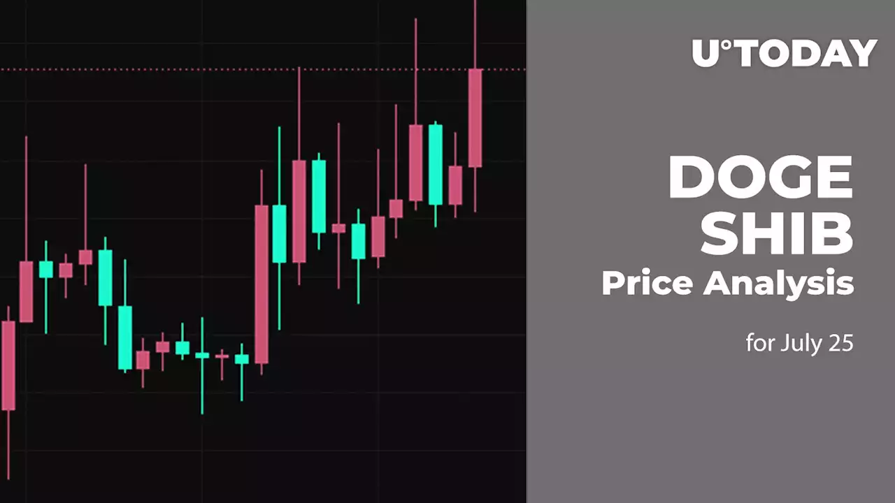 DOGE and SHIB Price Analysis for July 25