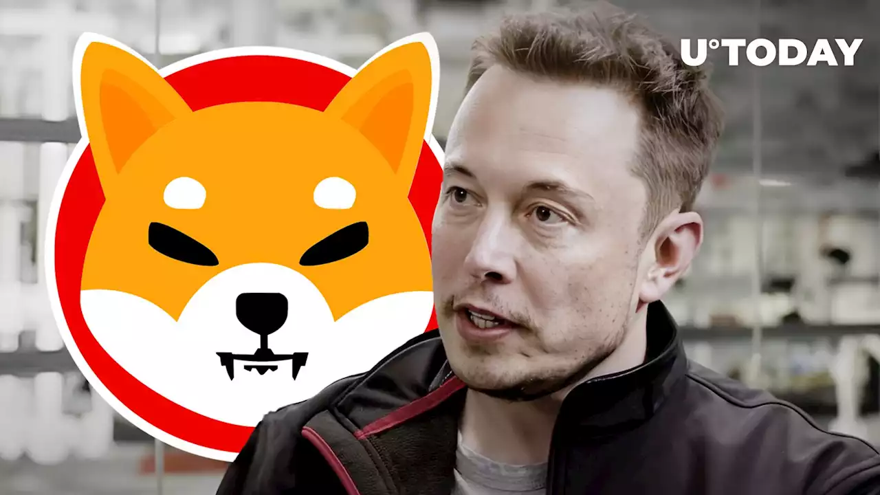 Elon Musk Makes Unexpected Shiba Inu Mention, Here's What Happened